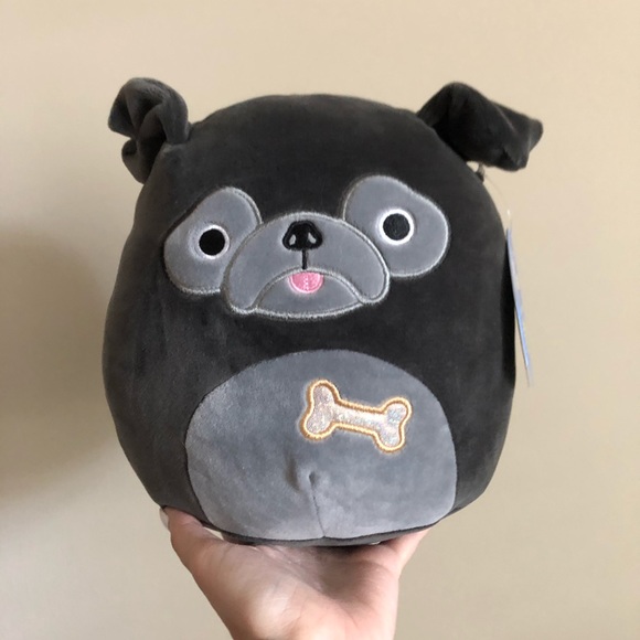 bongo the squishmallow